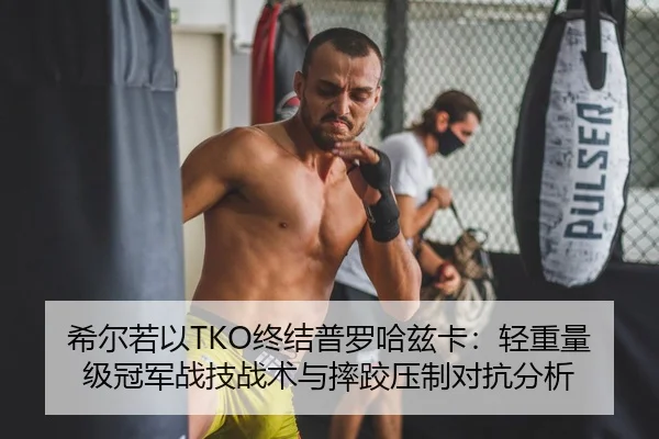 希尔若以TKO终结普罗哈兹卡：轻重量级冠军战技战术与摔跤压制对抗分析