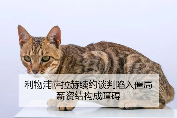 利物浦萨拉赫续约谈判陷入僵局 薪资结构成障碍